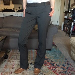 Express gray columnist pant